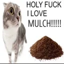 emoji_24