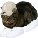 airforcesbob