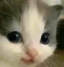 hehe