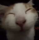 :pipipipipi: