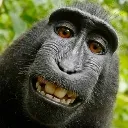 monke