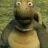 turtle turtle