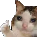 catsadthumbsup