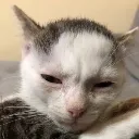 deadasstired Discord Emoji