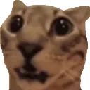 gasp