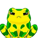 Harlequintoad