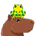 Harlequintoadoncapybara
