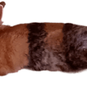 grt_bun_1 Discord emoji