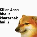 killer_ansh