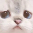c2