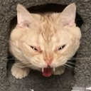 NaYell Discord emoji