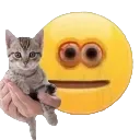 sbkitty5 Discord Emoji