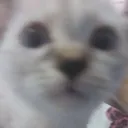yumisideeye