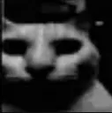 dedcat