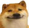 dogsmirk Discord emoji