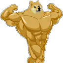 teradoge