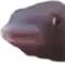 MMMM MMMM