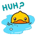 DuckyHuh