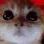 MadKitty