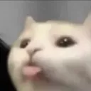 mlem