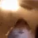 hamsterstare hamsterstare