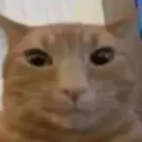 bru