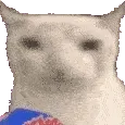 CatCHIPS