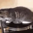 YouSpinMeRightRound