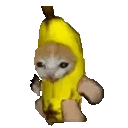 catrunbanana