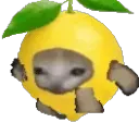 catrunlemon
