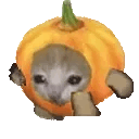 catrunpumpkin
