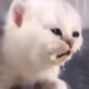 CE_Pain2 CE_Pain2