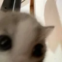CE_Peek2 CE_Peek2