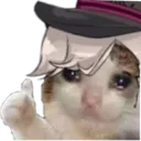 lyneyMemeCat lyneyMemeCat