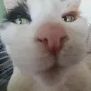 herminesideeye