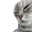 CatKonh