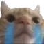 cc_catSobbing