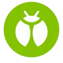 Bug