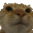 Cat No cat_nO Discord Emoji