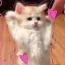 emoji_3