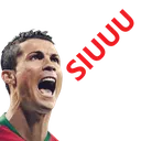 Suiiii