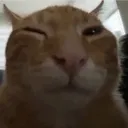 buh