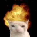 AAA AAA