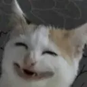 Smile Cat smilecat Discord Emoji