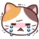Cr Ycat crycat Discord Emoji