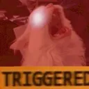 TRIGGERED Discord Emoji