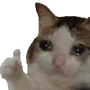 Ok Cat okcat Discord Emoji