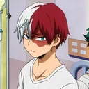 Todoroki_Bruh
