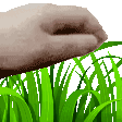TouchGrass