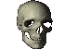 spinningskull